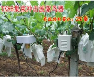 TK86驱鸟器