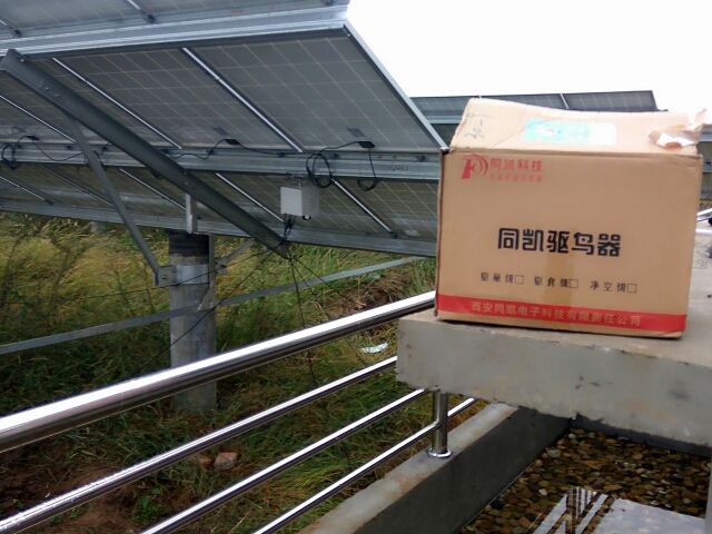 光伏驱鸟