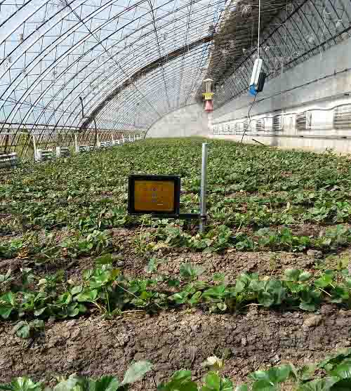 激光植物生长灯