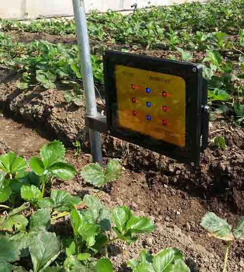 激光植物生长灯