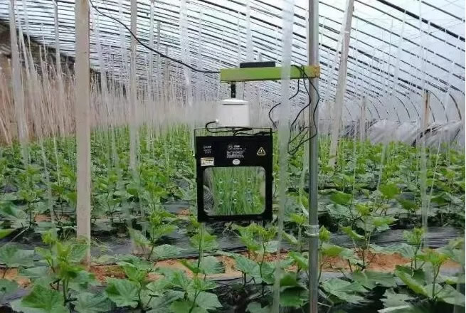 5fe8892ac3d24.jpg 01.jpg