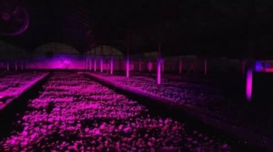 5fe889313cdcb.jpg 02.jpg