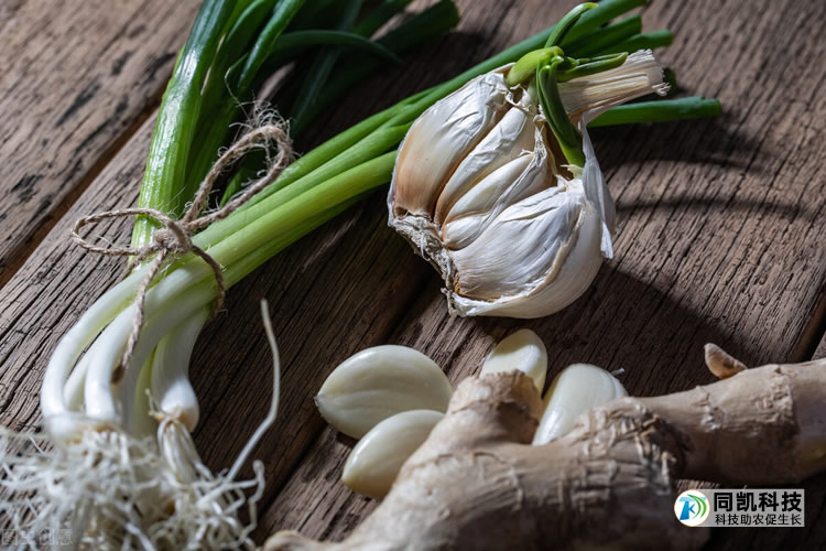 5fe9a0c0b4039.jpg 01.jpg