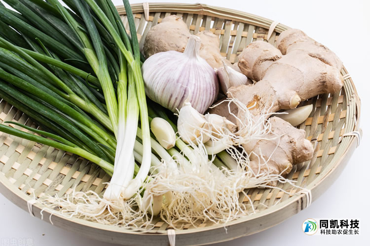 5fe9a0c8e091c.jpg 02.jpg